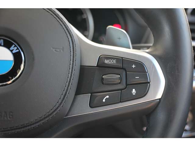 ＢＭＷ Ｘ４ Ｘドライブ３０Ｉ Ｍスポーツ ４ＷＤ H30年 (関東) 99