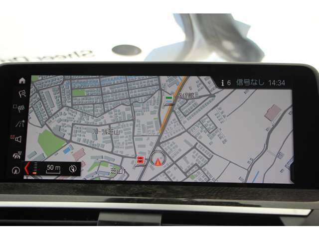 ＢＭＷ Ｘ４ Ｘドライブ３０Ｉ Ｍスポーツ ４ＷＤ H30年 (関東) 99