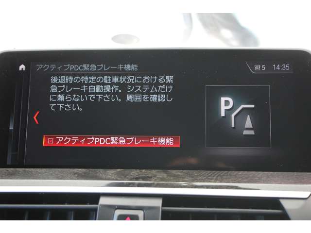 ＢＭＷ Ｘ４ Ｘドライブ３０Ｉ Ｍスポーツ ４ＷＤ H30年 (関東) 99