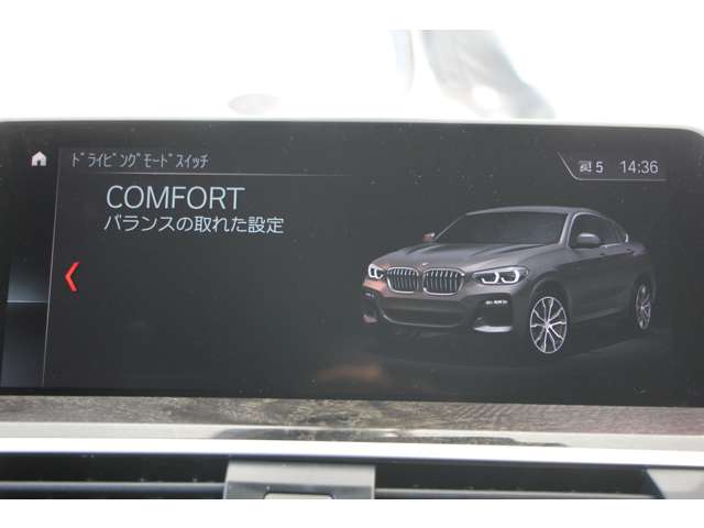 ＢＭＷ Ｘ４ Ｘドライブ３０Ｉ Ｍスポーツ ４ＷＤ H30年 (関東) 99
