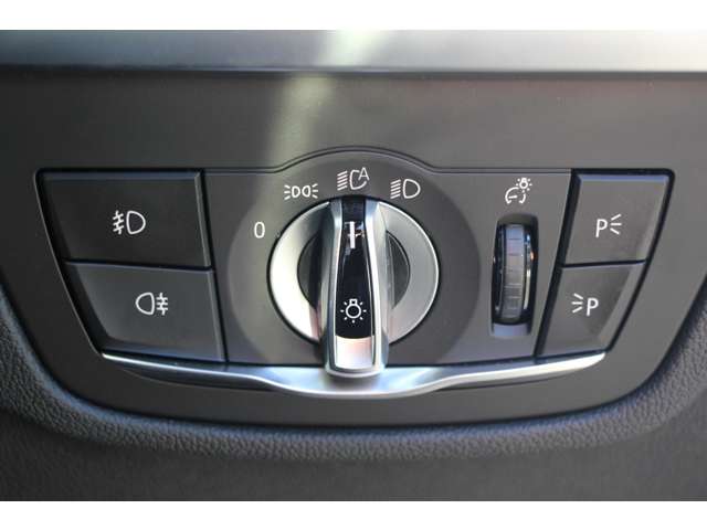 ＢＭＷ Ｘ４ Ｘドライブ３０Ｉ Ｍスポーツ ４ＷＤ H30年 (関東) 99