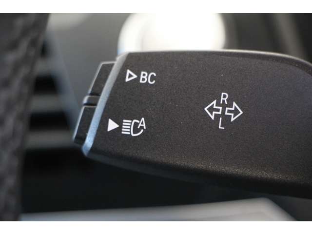 ＢＭＷ Ｘ４ Ｘドライブ３０Ｉ Ｍスポーツ ４ＷＤ H30年 (関東) 99