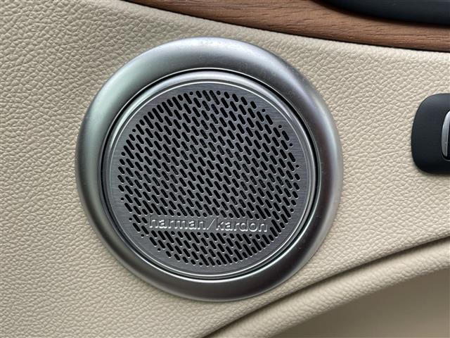 アルファロメオ ステルヴィオ ファースト エディション ４ＷＤ R2年 (東海) 99