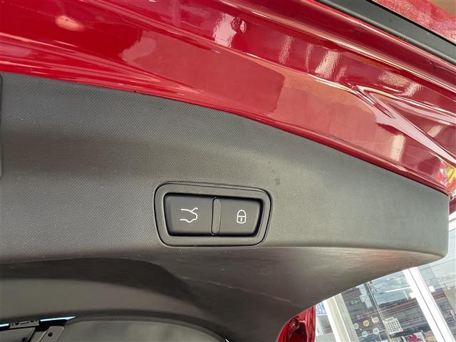 アルファロメオ ステルヴィオ ファースト エディション ４ＷＤ R2年 (東海) 99