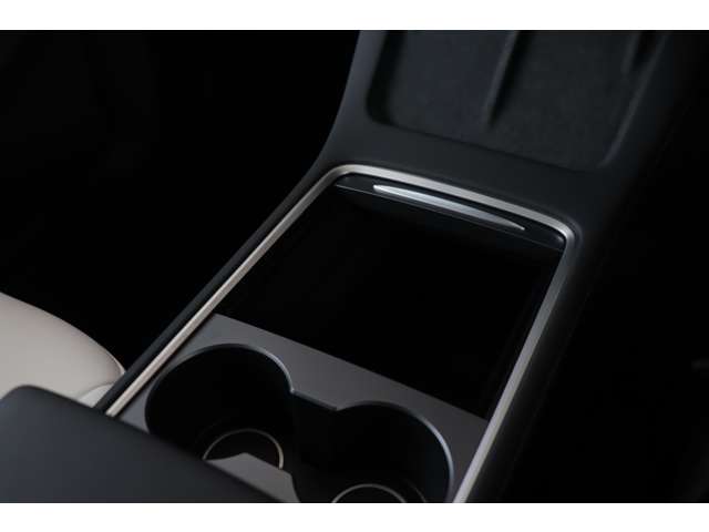 テスラ モデルＹ パフォーマンス R5年 (近畿) 99