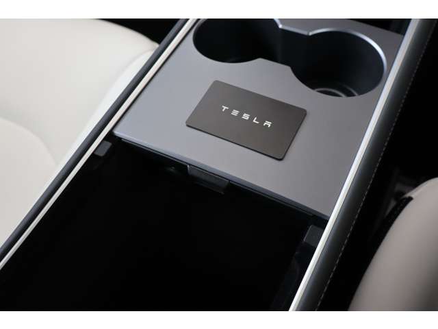 テスラ モデルＹ パフォーマンス R5年 (近畿) 99