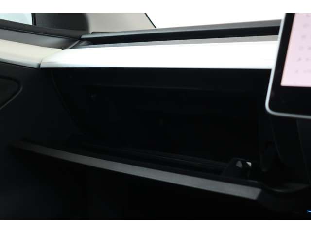 テスラ モデルＹ パフォーマンス R5年 (近畿) 99