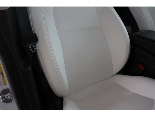 テスラ モデルＹ パフォーマンス R5年 (近畿) 99