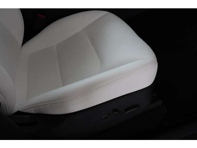 テスラ モデルＹ パフォーマンス R5年 (近畿) 99