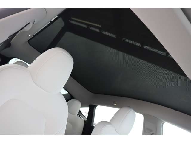 テスラ モデルＹ パフォーマンス R5年 (近畿) 99