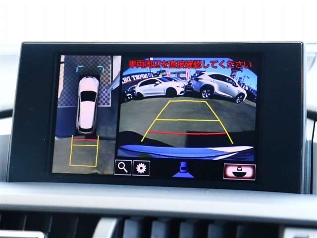 レクサス ＮＸ２００ｔ Ｆスポーツ H28年 (関東) 99