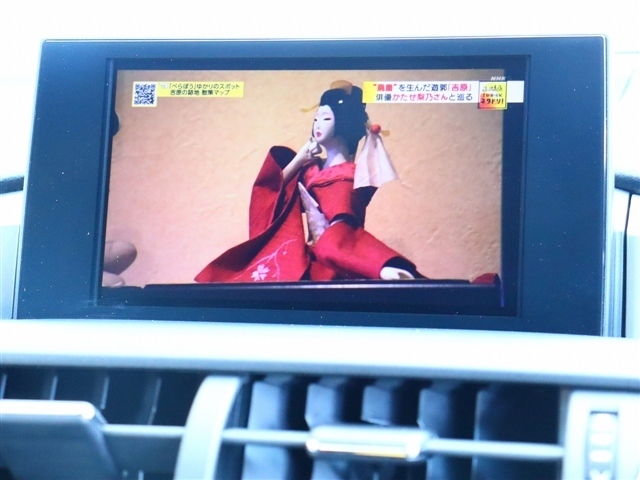 レクサス ＮＸ２００ｔ Ｆスポーツ H28年 (関東) 99