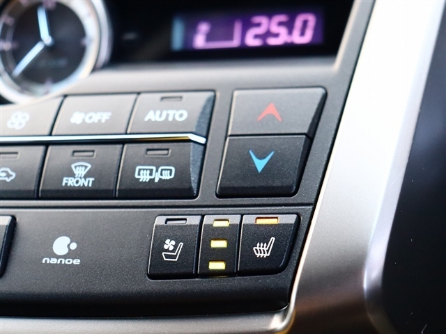 レクサス ＮＸ２００ｔ Ｆスポーツ H28年 (関東) 99