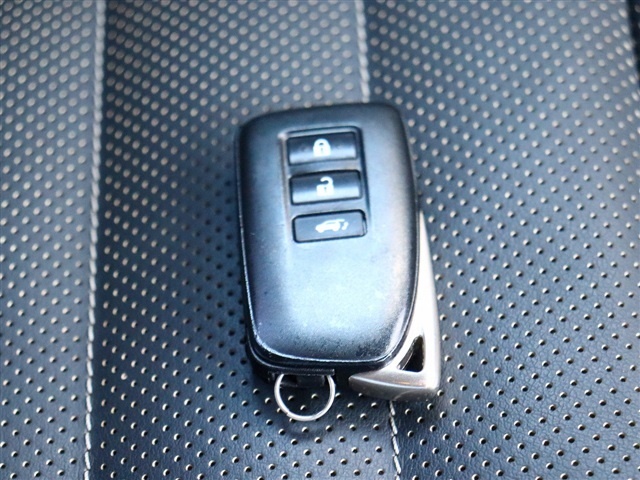 レクサス ＮＸ２００ｔ Ｆスポーツ H28年 (関東) 99