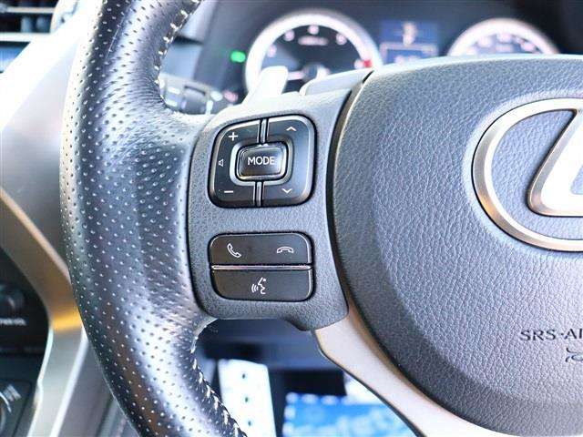 レクサス ＮＸ２００ｔ Ｆスポーツ H28年 (関東) 99