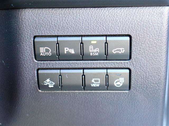 レクサス ＮＸ２００ｔ Ｆスポーツ H28年 (関東) 99