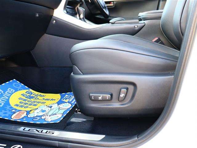 レクサス ＮＸ２００ｔ Ｆスポーツ H28年 (関東) 99