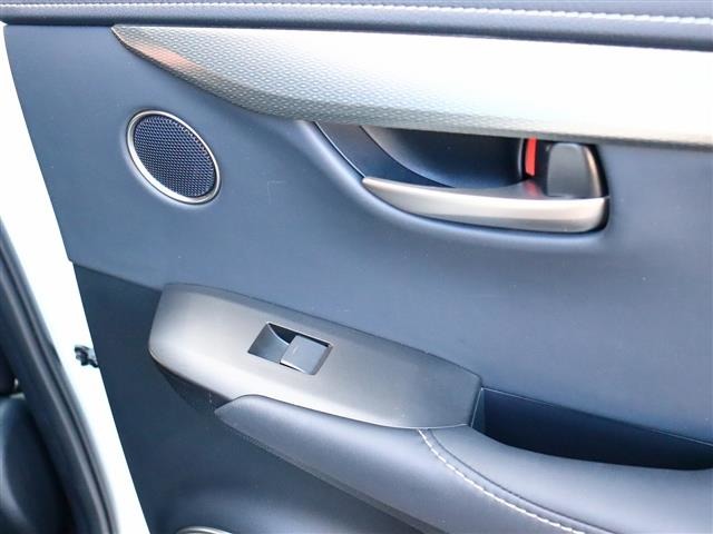 レクサス ＮＸ２００ｔ Ｆスポーツ H28年 (関東) 99