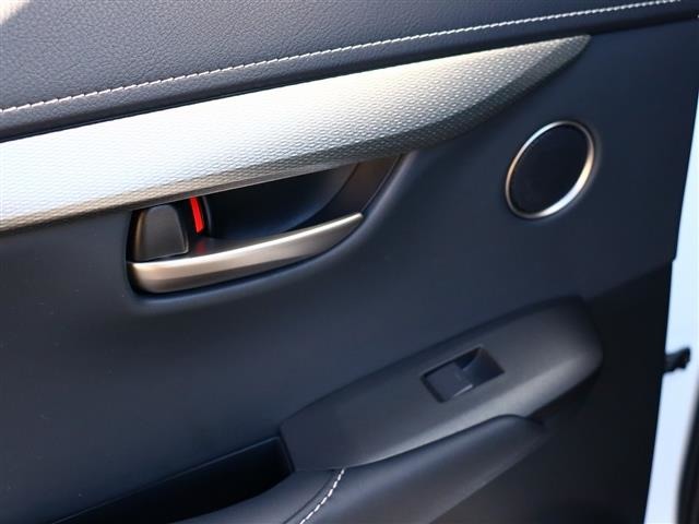 レクサス ＮＸ２００ｔ Ｆスポーツ H28年 (関東) 99