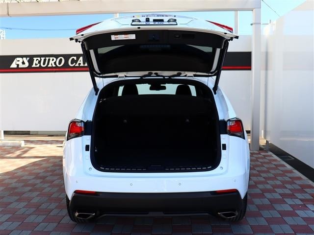 レクサス ＮＸ２００ｔ Ｆスポーツ H28年 (関東) 99