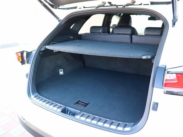 レクサス ＮＸ２００ｔ Ｆスポーツ H28年 (関東) 99