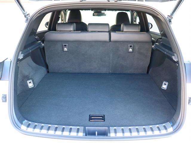 レクサス ＮＸ２００ｔ Ｆスポーツ H28年 (関東) 99