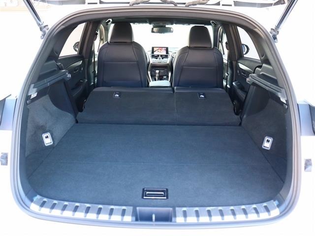 レクサス ＮＸ２００ｔ Ｆスポーツ H28年 (関東) 99