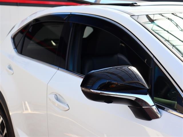 レクサス ＮＸ２００ｔ Ｆスポーツ H28年 (関東) 99