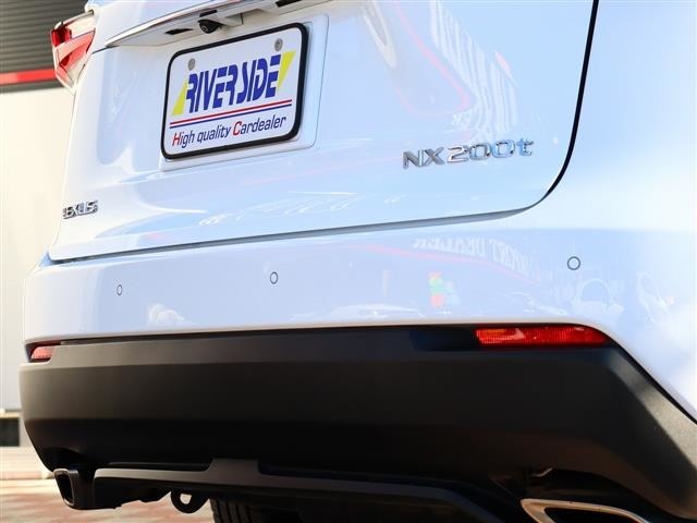 レクサス ＮＸ２００ｔ Ｆスポーツ H28年 (関東) 99