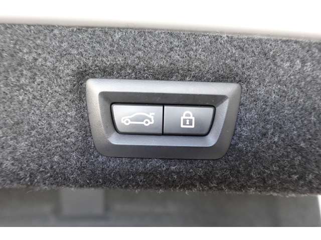 ＢＭＷ ５シリーズ ５３０ｉ　Ｍスポーツ R3年 (近畿) 99