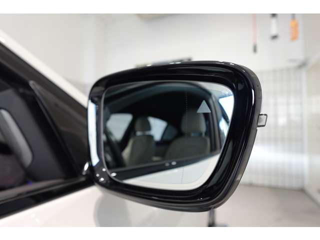 ＢＭＷ ５シリーズ ５３０ｉ　Ｍスポーツ R3年 (近畿) 99