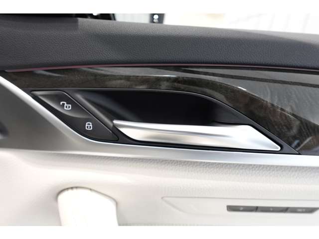 ＢＭＷ ５シリーズ ５３０ｉ　Ｍスポーツ R3年 (近畿) 99