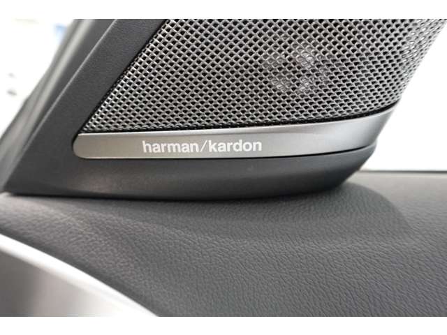 ＢＭＷ ５シリーズ ５３０ｉ　Ｍスポーツ R3年 (近畿) 99