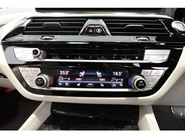 ＢＭＷ ５シリーズ ５３０ｉ　Ｍスポーツ R3年 (近畿) 99