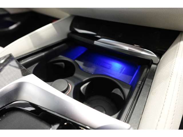 ＢＭＷ ５シリーズ ５３０ｉ　Ｍスポーツ R3年 (近畿) 99