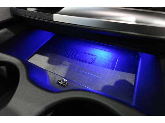 ＢＭＷ ５シリーズ ５３０ｉ　Ｍスポーツ R3年 (近畿) 99