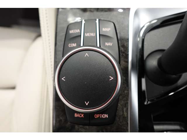 ＢＭＷ ５シリーズ ５３０ｉ　Ｍスポーツ R3年 (近畿) 99