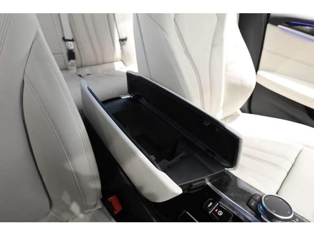 ＢＭＷ ５シリーズ ５３０ｉ　Ｍスポーツ R3年 (近畿) 99