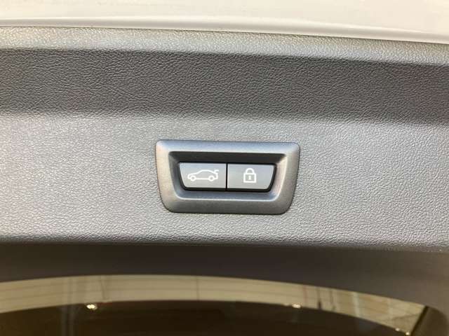 ＢＭＷ Ｘ３ Ｘドライブ２０Ｄ Ｍスポーツ ディーゼルターボ ４ＷＤ R4年 (近畿) 99