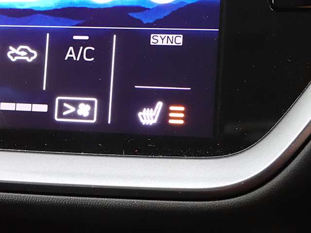 スバル レヴォーグ １．８ ＧＴ－Ｈ ＥＸ ４ＷＤ R3年 (関東) 99