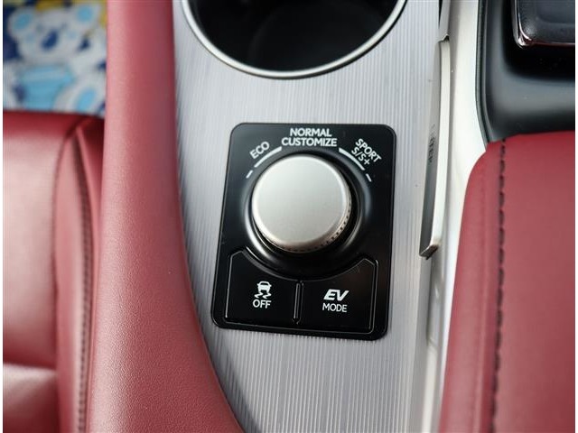 レクサス ＲＸ４５０ｈ ４５０Ｈ Ｆスポーツ ４ＷＤ H28年 (関東) 99