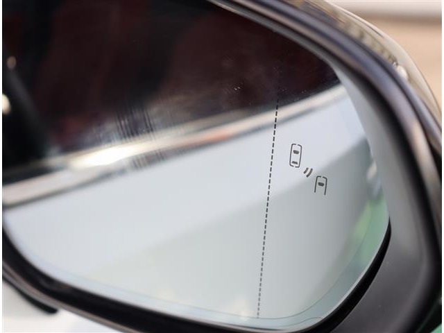 レクサス ＲＸ４５０ｈ ４５０Ｈ Ｆスポーツ ４ＷＤ H28年 (関東) 99