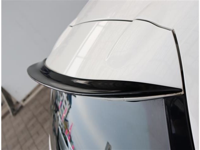 フォルクスワーゲン シロッコ ＴＳＩ H21年 (関東) 99