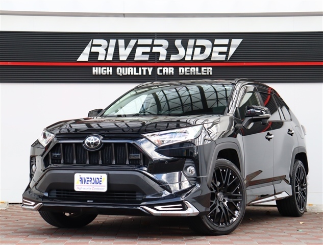 トヨタ ＲＡＶ４ ２．０ Ｇ Ｚパッケージ ４ＷＤ R1年 (関東) 99