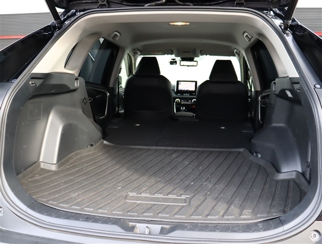 トヨタ ＲＡＶ４ ２．０ Ｇ Ｚパッケージ ４ＷＤ R1年 (関東) 99