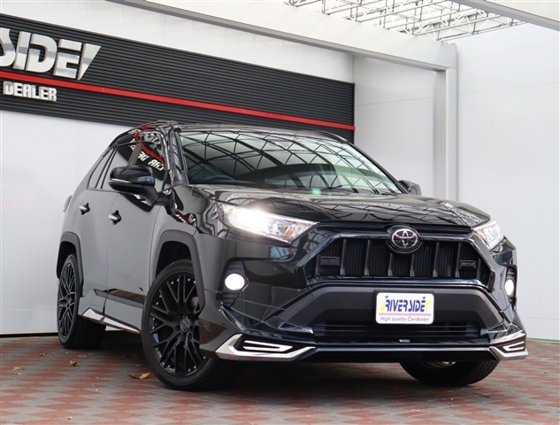 トヨタ ＲＡＶ４ ２．０ Ｇ Ｚパッケージ ４ＷＤ R1年 (関東) 99