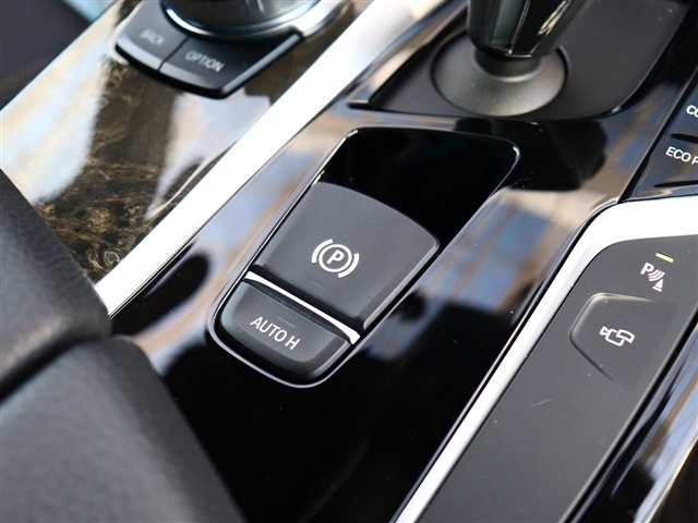 ＢＭＷ ５シリーズ ５２３Ｄ Ｍスポーツ ディーゼルターボ H30年 (関東) 99