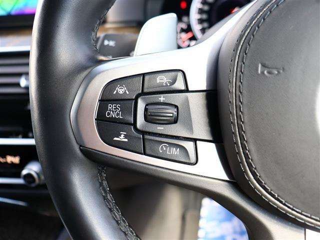 ＢＭＷ ５シリーズ ５２３Ｄ Ｍスポーツ ディーゼルターボ H30年 (関東) 99