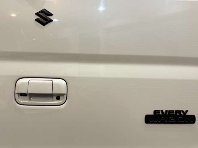 スズキ エブリイワゴン ６６０ ＰＺターボスペシャル ハイルーフ R1年 (関東) 99