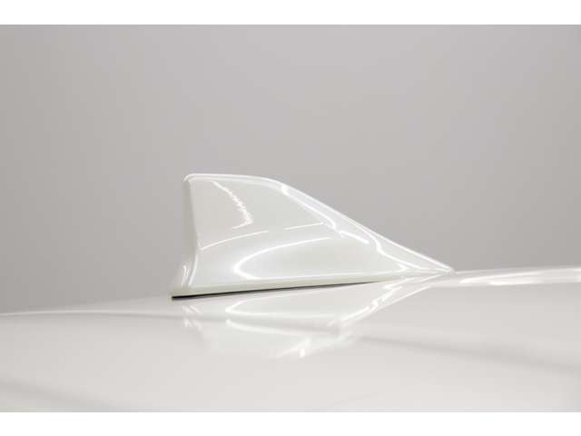 トヨタ アルファード ２．５ Ｓ Ｃパッケージ R5年 (東海) 99